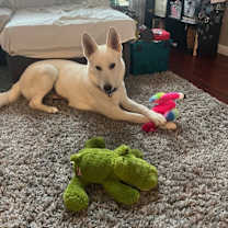 Thumbnail photo of Lulu fka Luna #4