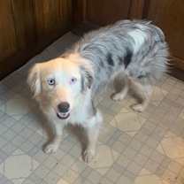 Thumbnail photo of Harper #4