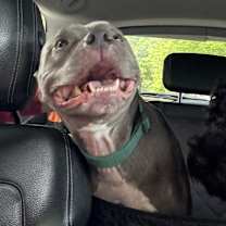 Thumbnail photo of Bubba #2