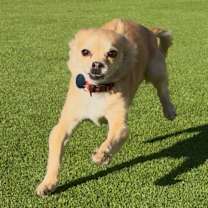 Thumbnail photo of Rico Suave #4