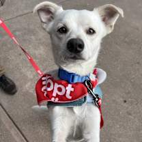 Thumbnail photo of Macaroni #1