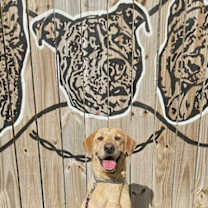 Thumbnail photo of Paisy #4