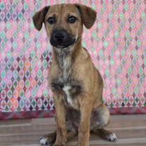 Thumbnail photo of Alana #1