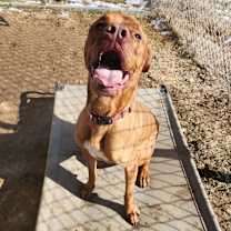 Thumbnail photo of Chidi #1