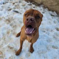 Thumbnail photo of Chidi #2