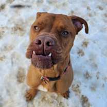 Thumbnail photo of Chidi #4