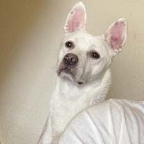 Thumbnail photo of Charlie #2