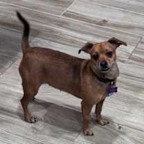 Thumbnail photo of Abby Gail #2