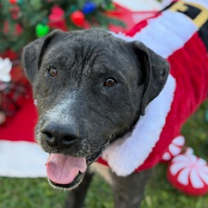 Thumbnail photo of BW #1