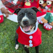 Thumbnail photo of Yin #1