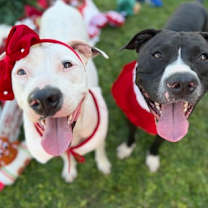 Thumbnail photo of Yin #2