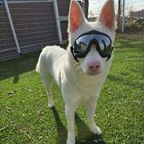 Thumbnail photo of Gangho #4