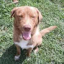 Thumbnail photo of Patch #1