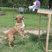 Thumbnail photo of Patch #2