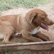 Thumbnail photo of Patch #3