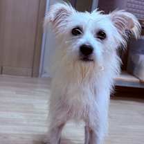 Thumbnail photo of Ivy #3