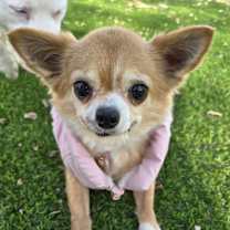 Thumbnail photo of Nimo #3