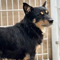 Thumbnail photo of Yoogang #3