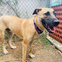 Thumbnail photo of Jax #3