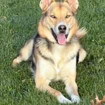 Thumbnail photo of Sahbek & Christian #3