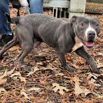 Thumbnail photo of Uramaki #4