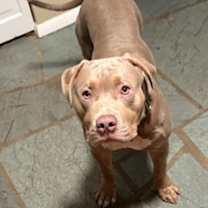 Thumbnail photo of Rip #3