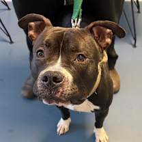 Thumbnail photo of Mashlin #2