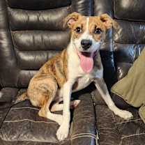 Thumbnail photo of Noah JuM/AL #4