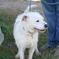 Thumbnail photo of Jazz #1