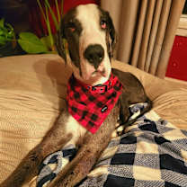 Thumbnail photo of Caden #2