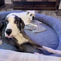 Thumbnail photo of Caden #3