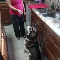 Thumbnail photo of Blue #3