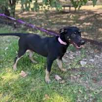 Thumbnail photo of Twinkle Star #2