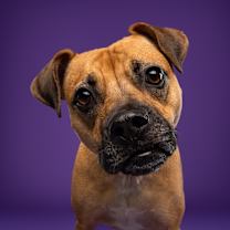 Thumbnail photo of Lua #3