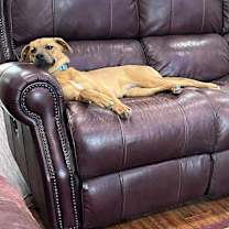 Thumbnail photo of Harmony #4