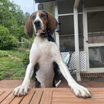 Thumbnail photo of Peter #4