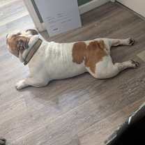 Thumbnail photo of Hank #3