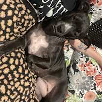 Thumbnail photo of Honey #3