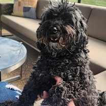 Thumbnail photo of Calvin and Henry #1