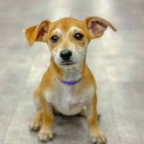 Thumbnail photo of Barbie #1