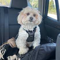 Thumbnail photo of Walter #4