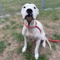 Thumbnail photo of Dorothy #1