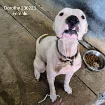 Thumbnail photo of Dorothy #3