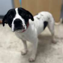 Thumbnail photo of Peace #3