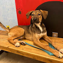 Thumbnail photo of Victor #3