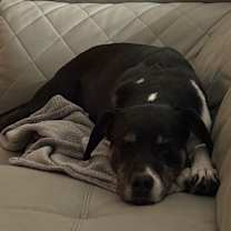 Thumbnail photo of Dakota #3