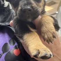 Thumbnail photo of OMG Miles #2