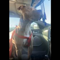 Thumbnail photo of Stoney #2