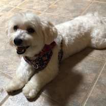 Thumbnail photo of Bridgette #2