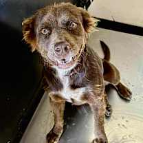 Thumbnail photo of Loca #1